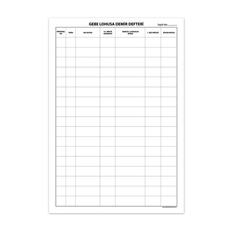 Gebe Lohusa Demir Kayıt Defteri